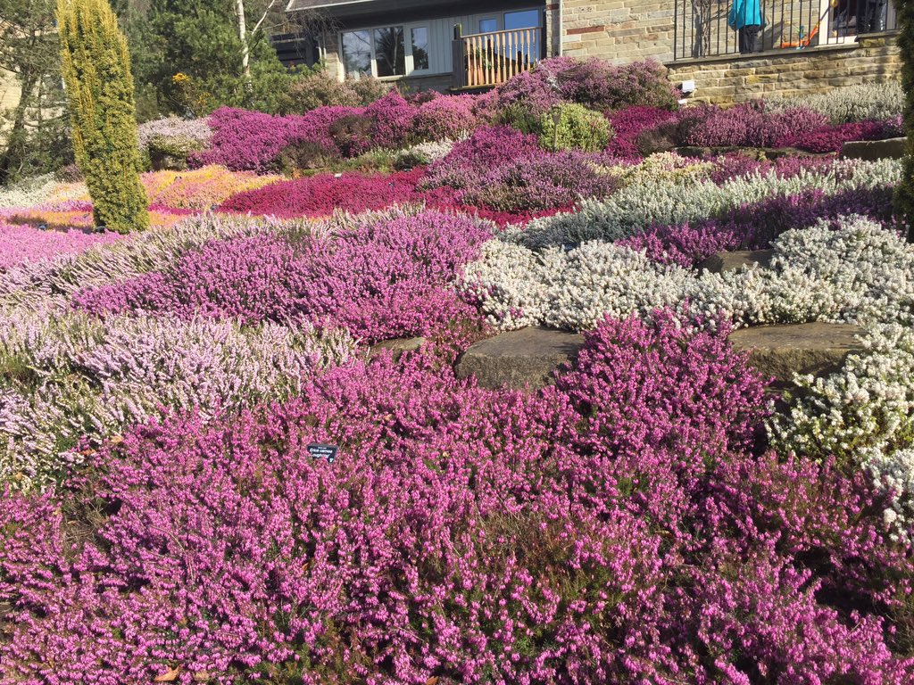 Always enjoy a visit to <a href="/RHSHarlowCarr/">RHS Harlow Carr</a> especially in the sunshine