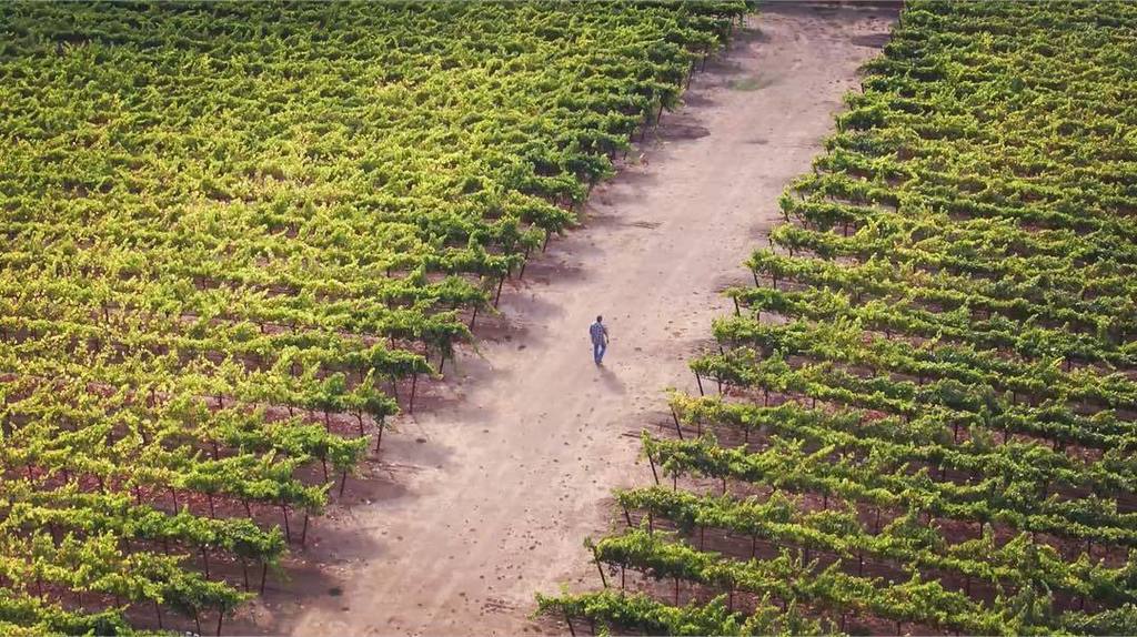 Great article about Joe Wagner and the #NapaValley wine business by Tracy Byrnes in #thestreet. Link in bio. #entre…