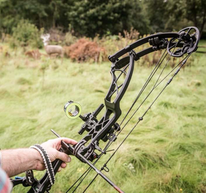 NF_archery's tweet photo. Come by and see the Xpedition line of Bows! https://t.co/fzKBiqbYHO