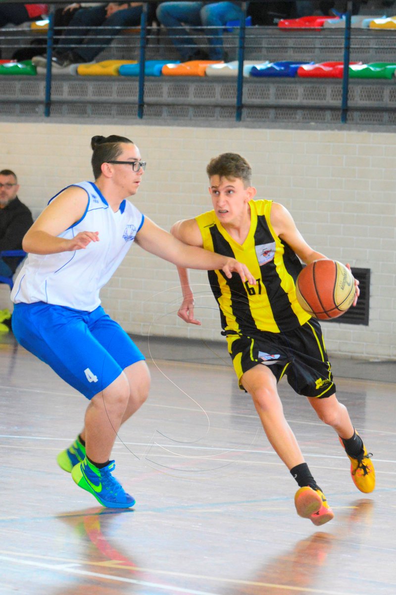 SEGRE Esport Base tweet media