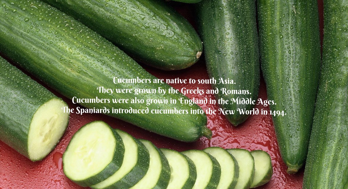 VedgeUK's tweet photo. Cucumbers' history fact 🥒 
#VedgeUK https://t.co/bRyG5UXToA