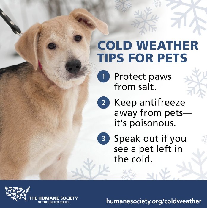 Humane World for Animals tweet media