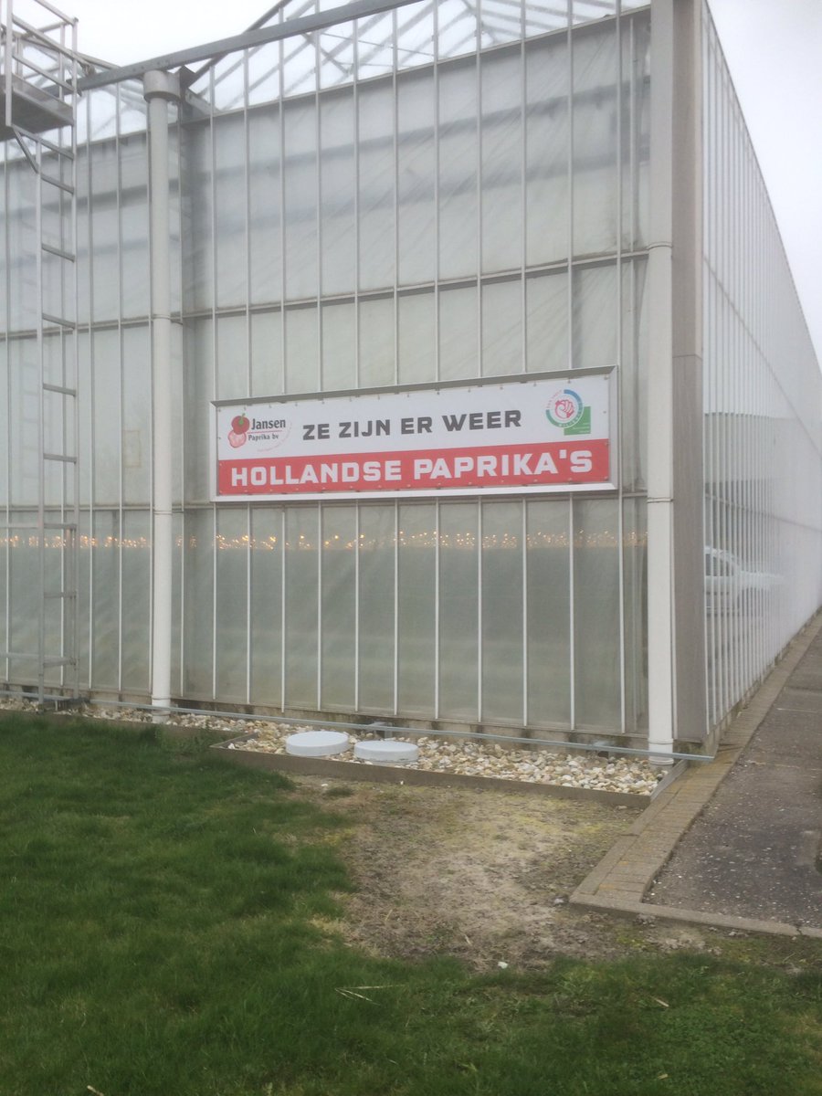 Jansen Paprika (JansenPaprika) Twitter