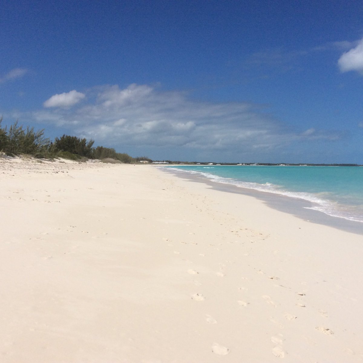CTPuraVida's tweet photo. #StunningBeach #TreasureCay #Bahamas #Top10InTheWorld...only a 3 minute walk from the marina https://t.co/0ciBLho07s