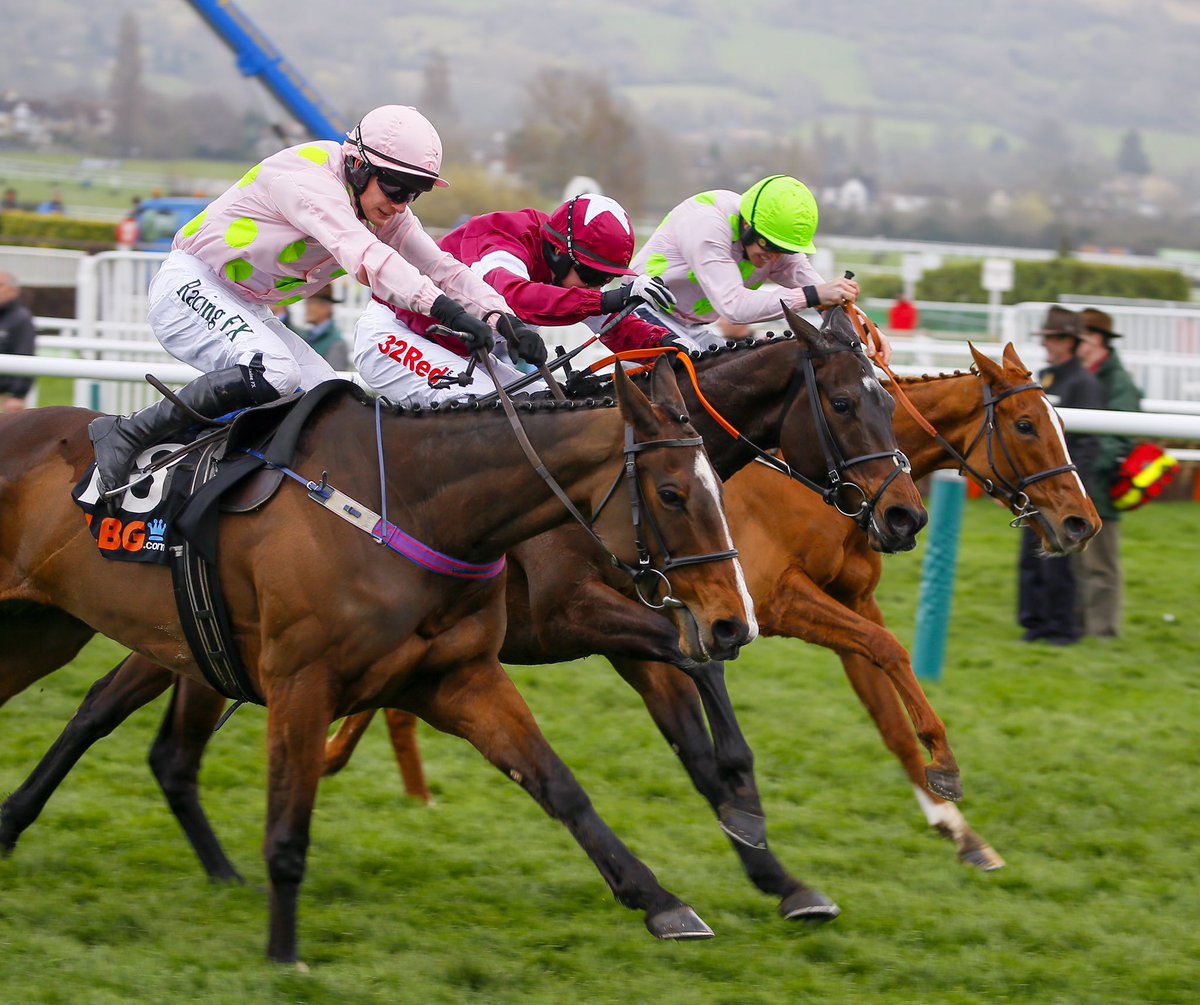 HRIOwners's tweet photo. Three racemares giving it their all! #ApplesJade #VroumVroumMag #Limini https://t.co/7CXsdCRWNw