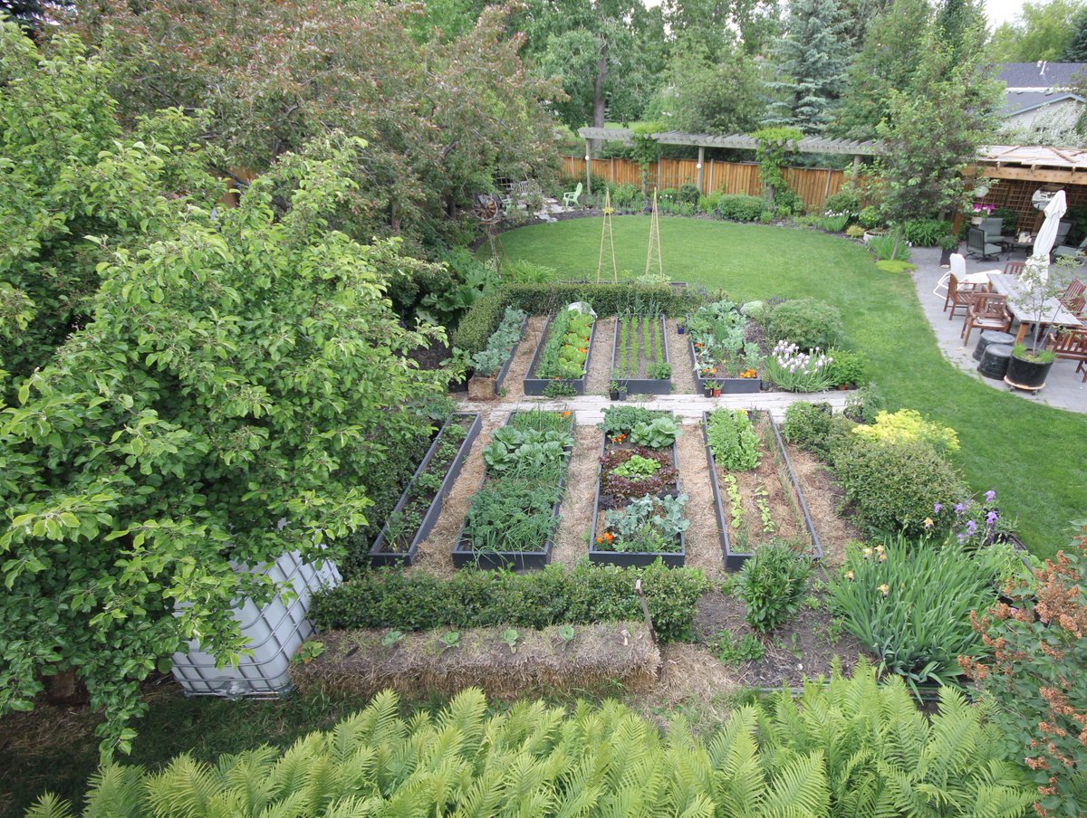 LEARN.GROW.EAT. Check out our 2017 WORKSHOPS for growing abundance in your own backyard!urbanfarm.ca/classes