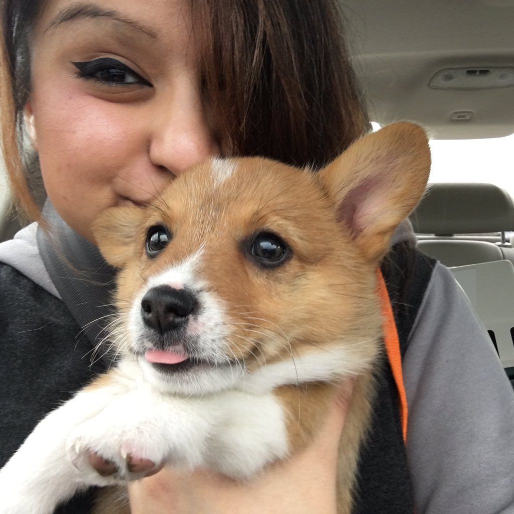 _Aphmau_'s tweet image. GUYS! IM CRYING! 😭😭💜💜
(YES HE'S OUR NEW BABY!)