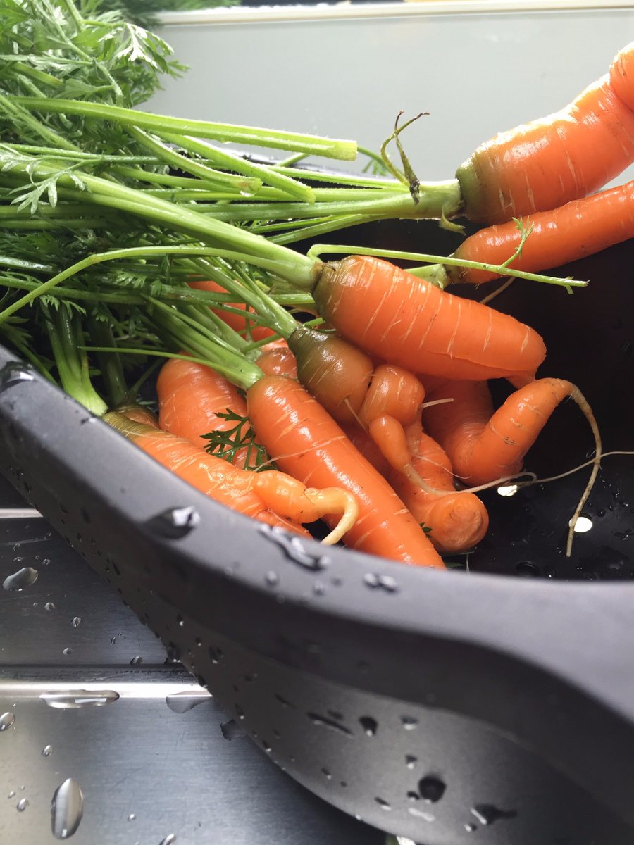 Try this weeks hummus -Carrot and Black Garlic! Available now when you are ordering a tasty &amp; nourishing dinner from piply.ie
