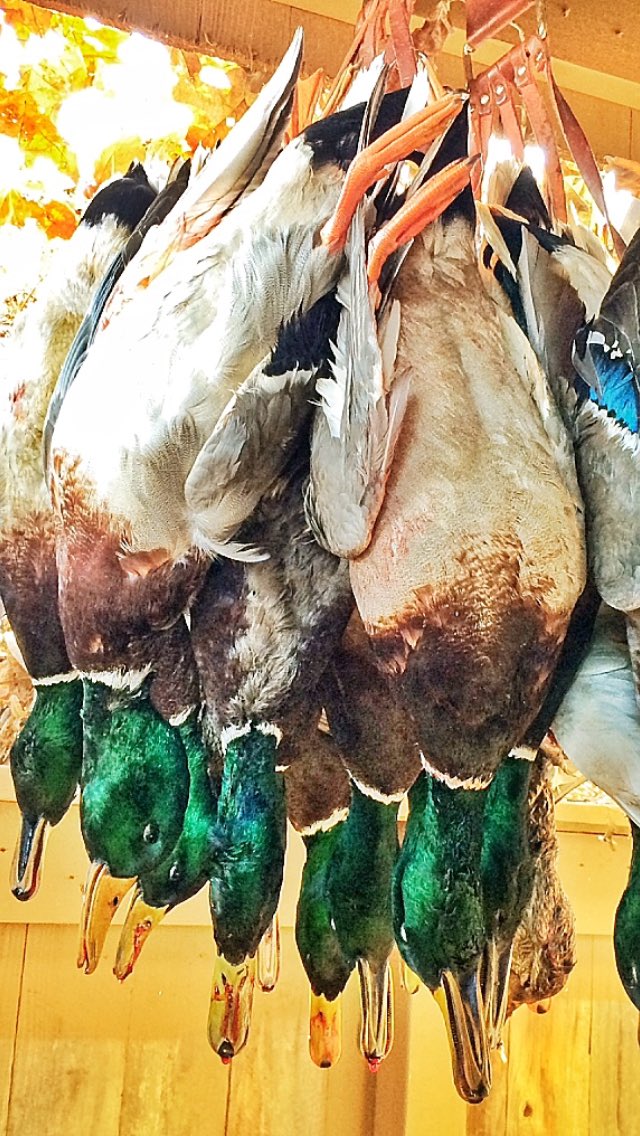 JPaul_Jackson's tweet photo. My idea of a good day at the office! https://t.co/Jq7pDNmEqd