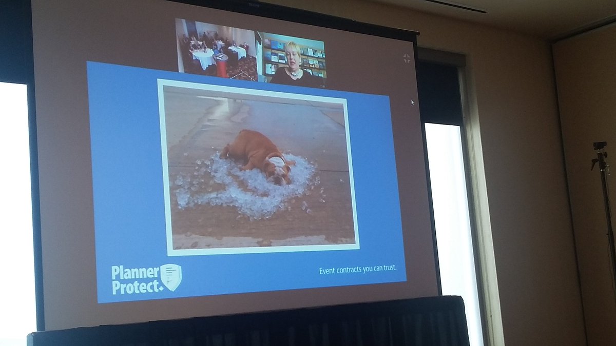 5stareventsPam's tweet photo. Thrilled for a virtual presentation with @PlannerReid of #PlannerProtect at #oneconfyyc. Thx @eventtechs for the technology #mpigcc #ileayyc https://t.co/AodtpSJJTx