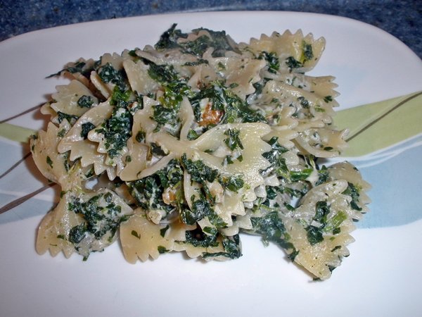 DIYhomeguru's tweet photo. Bow-tie Yogurt Florentine: https://t.co/8UwKh6P7CH https://t.co/JjYioV6Kak