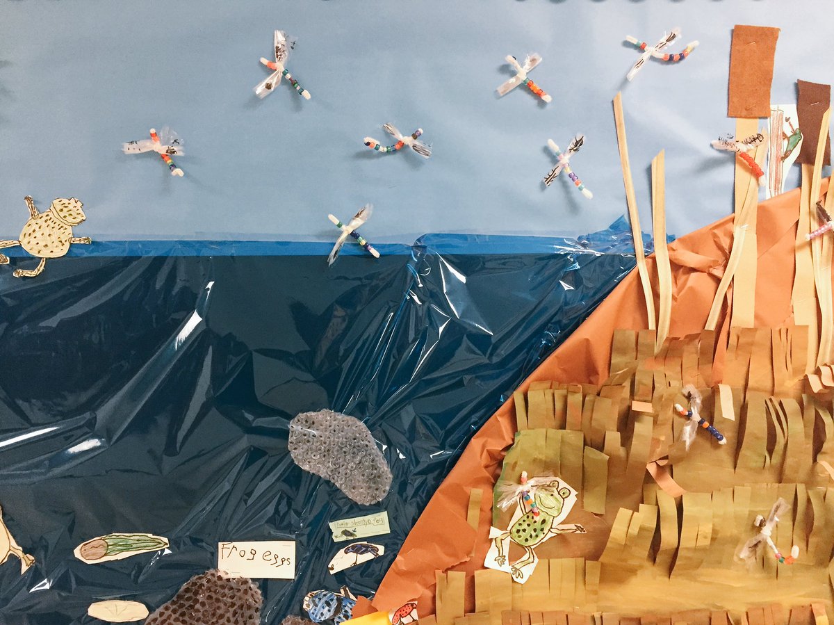 Our frogs/froglets are much happier now with dragonflies to eat! Thanks for learning and crafting with us today! @MrsBalesClass #KeatingEd