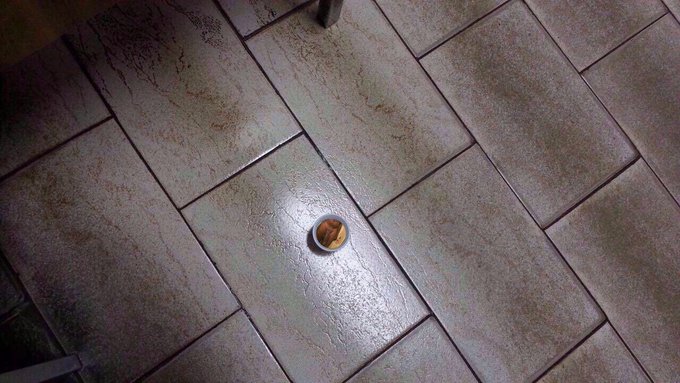 What flavor is this Jell-O shot ?? https://t.co/CXYtwzv1Ee<a href="/tag/catalinacrossingcanoerace"class="tags"><span>#catalinacrossingcanoerace</span></a>