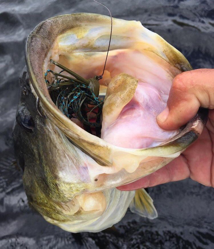 Does that bucket come with a handle? 

#tufline #bass #largemouth #bucketmouth #bassfishing