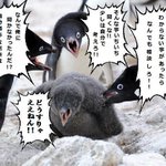 「どうしろっていうんだ!」これが社会の闇wマジ必ず体験するから!