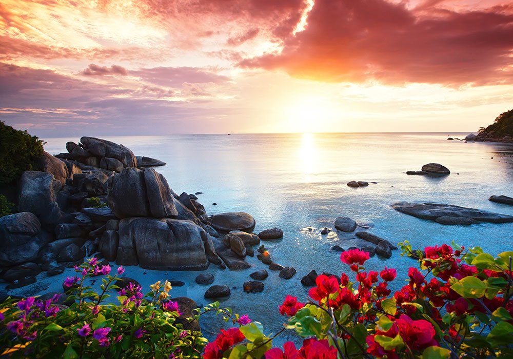 gotodaydotcom's tweet photo. Have a tech free vacation. Find out how in our latest blog. #technologyfree #remotegetaway #vacation https://t.co/aDwGJijRCt https://t.co/UBgsJPBvmY