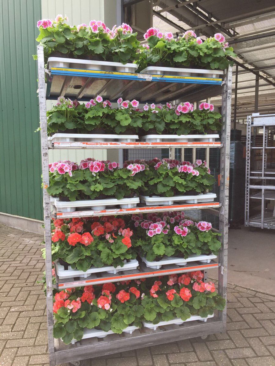 SamenloopD's tweet image. Zaterdag 18 maart  9 uur staan we bij @SVSchalkhaar met mooie plantjes. 1 tray met 10 plantjes kost 5€. De opbrengst voor KWF @InSchalkhaar
