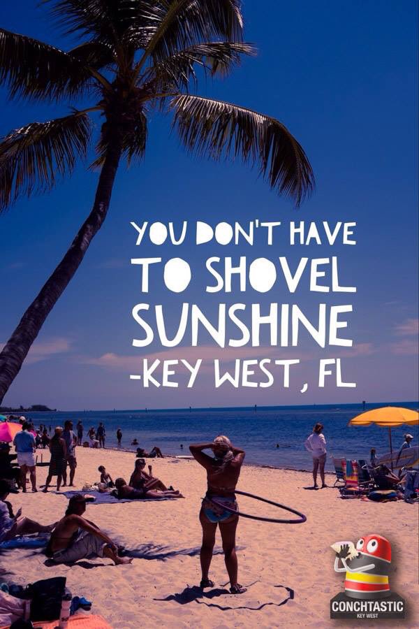 A friendly Conchtastic #KeyWest reminder for those affected by #Stella #snow storm........... 😏 #StellaBlizard
