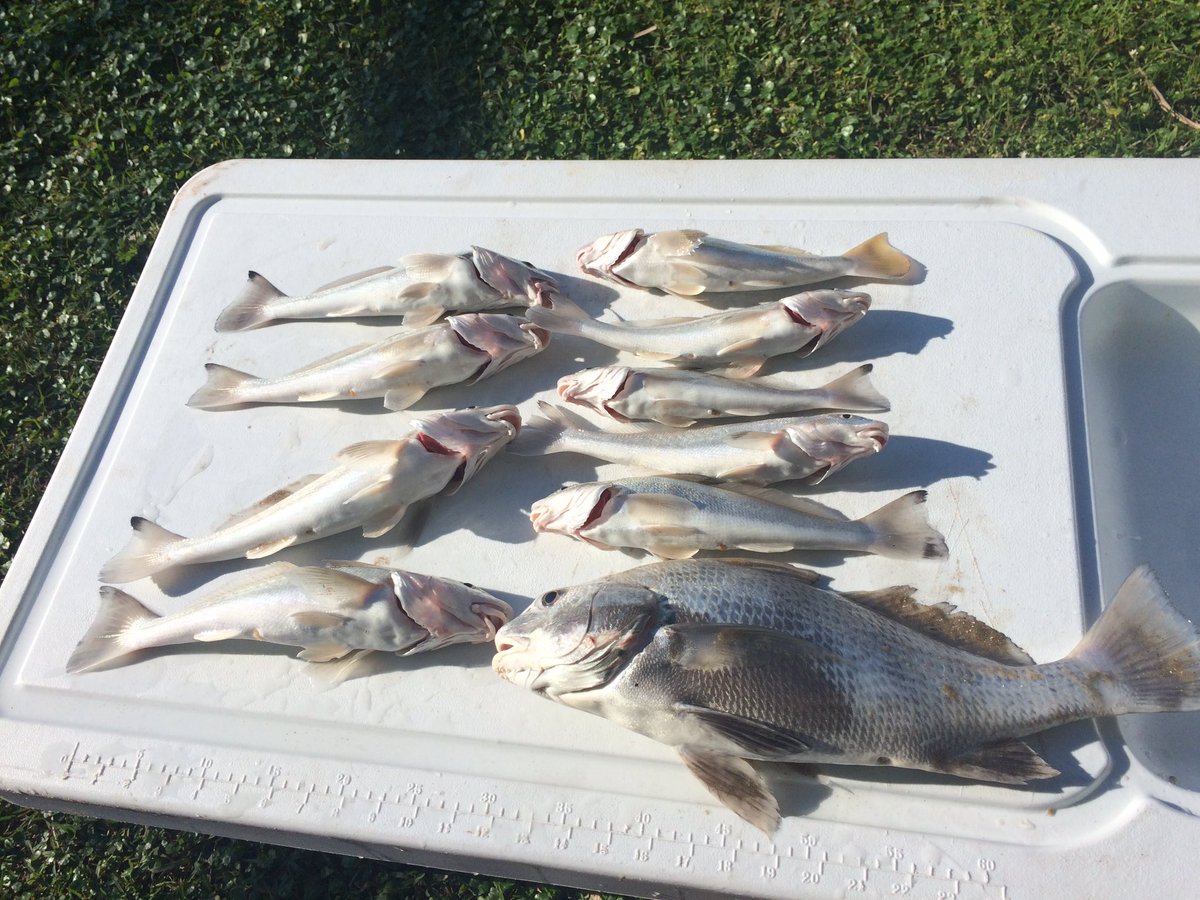 Teslalivechat36's tweet photo. Fishing with the fam! Good times #WeGetToEat #Bolivar https://t.co/t6ZBoifyka