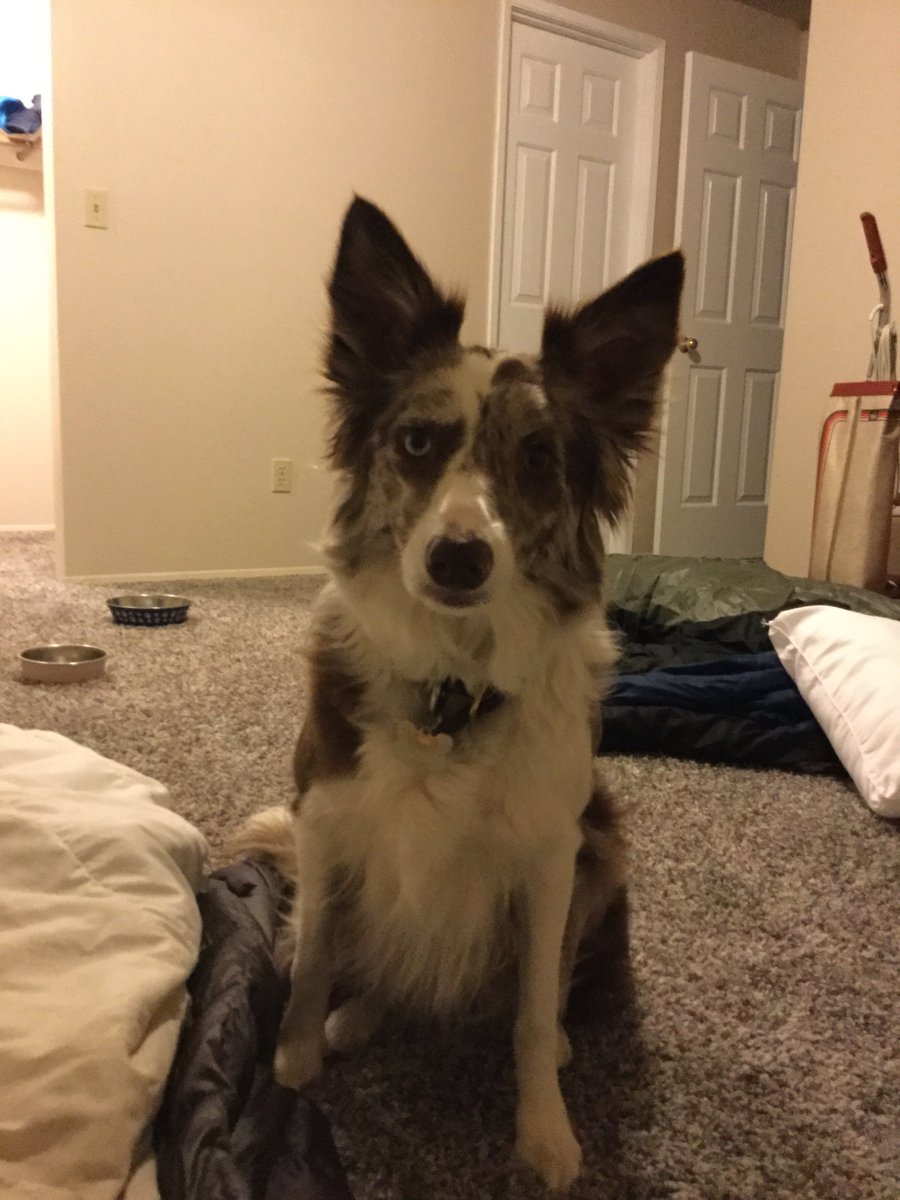 Get away from me, mutant.