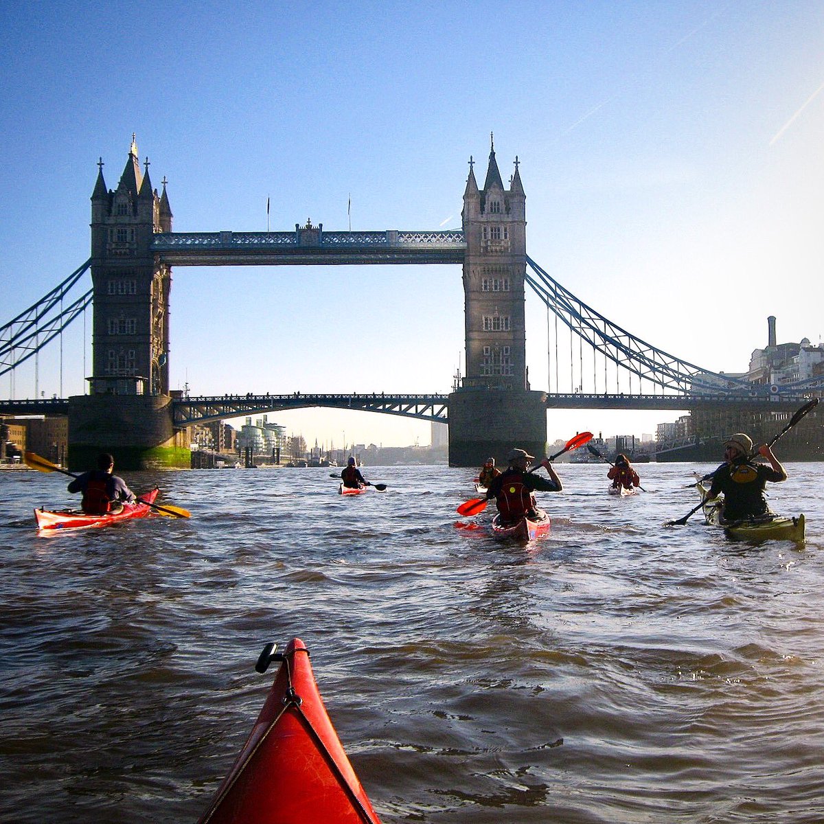 Chelsea Kayak Club tweet media