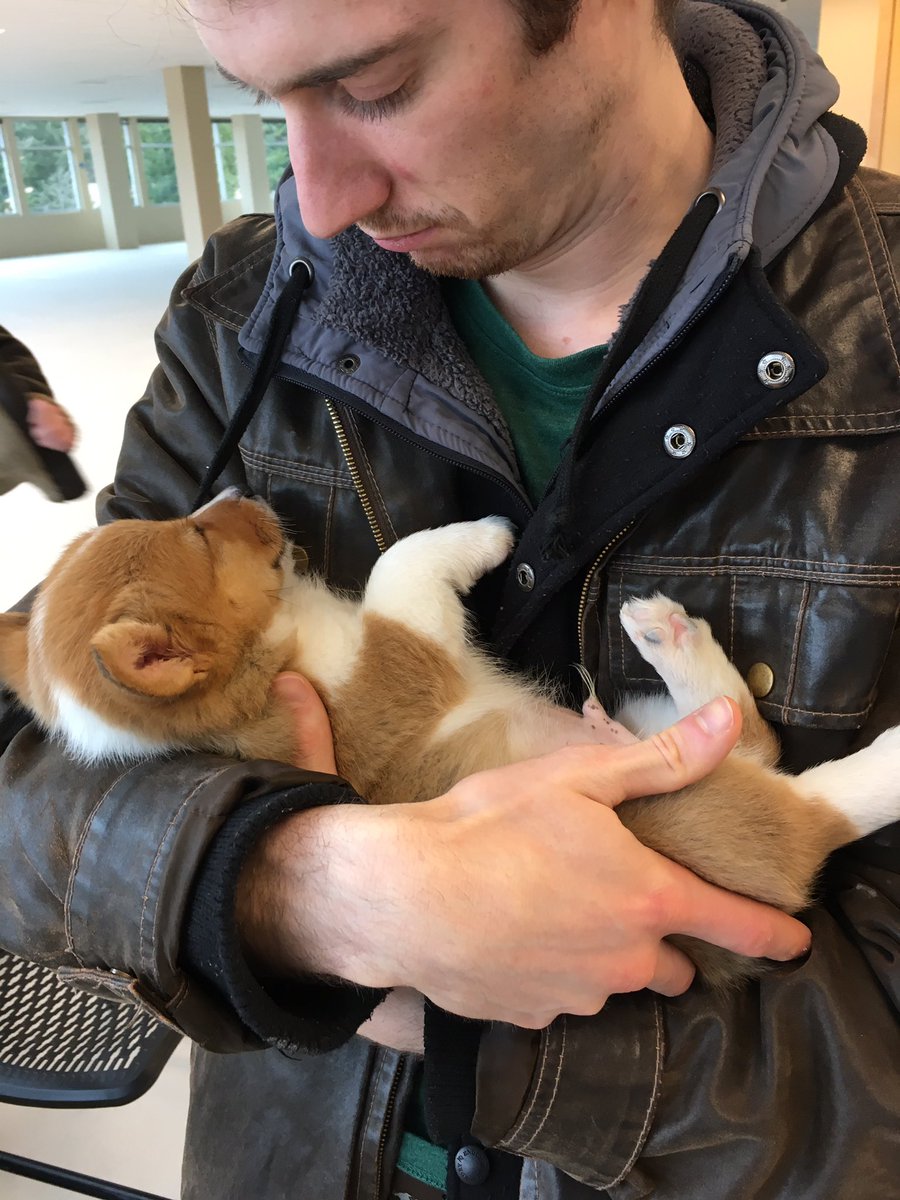 Will W - Willivity on 🦋 tweet media