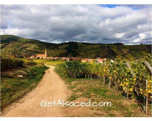 GetAlsaced's tweet image. I take pictures like this every day while doing tours in Alsace #alsacewine #frenchvillage #vineyards