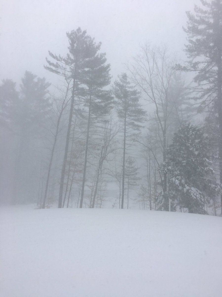 RWM1980's tweet image. #WinterStormStella #notmyspring #snowday #stella #NH #WhenWillSummerGetHere