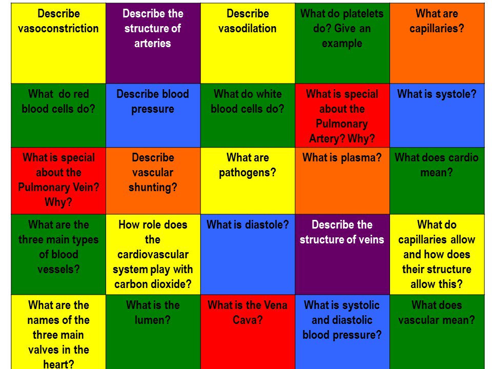 RPUffendell's tweet photo. #GCSEPE #boardrush #revision #learning grid. #cardiovascular system work for KS4 students. @My_PE_EXAM @PE4Learning @tombrush1982 @Rdq_7 https://t.co/k5MB5qVKqf