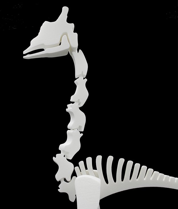 eleekelly's tweet photo. #BeastAndBones #Africa #giraffe #skeleton #3dprint #puzzle GRF 100, skull, mandible, vertebrae, 3D print SLS https://t.co/DMOXZlpULW