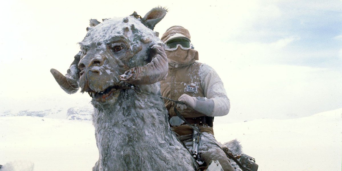 UWMadison's tweet photo. Dear all in the path of #StellaBlizzard:

Our Tauntaun fleet is at the ready if you need ‘em.

Love,
#UWHoth https://t.co/vPgNxZfUk9