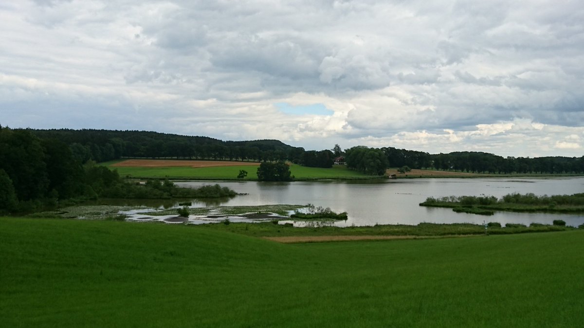MarionLaberg tweet picture