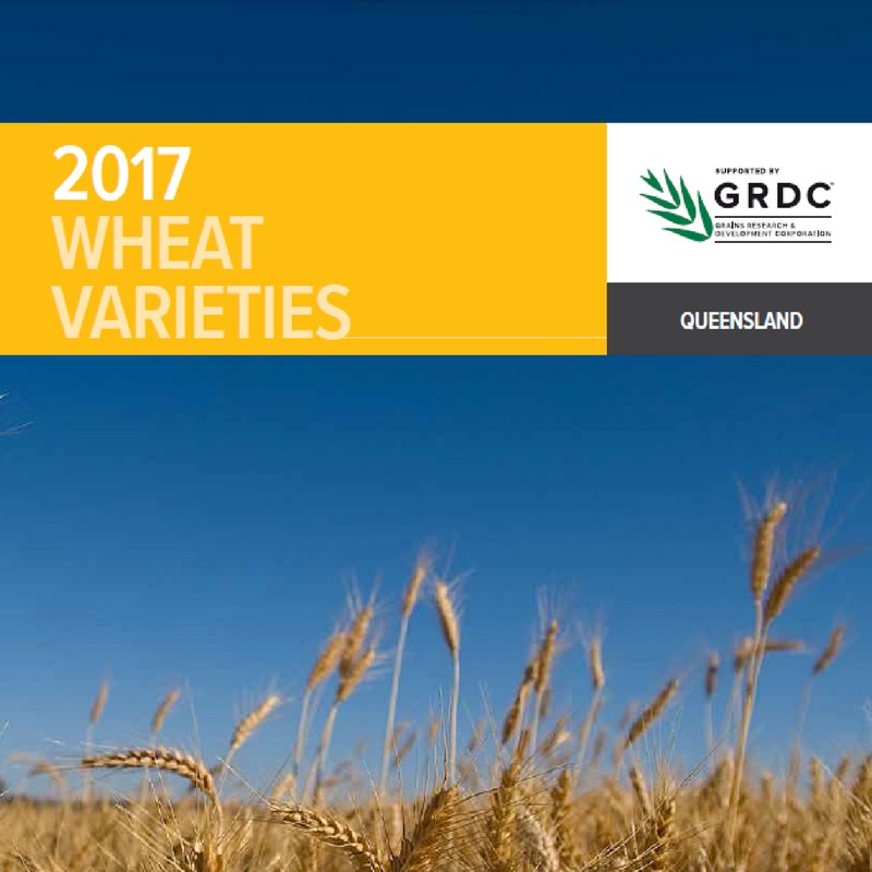 John Matthew Minogue tweet media