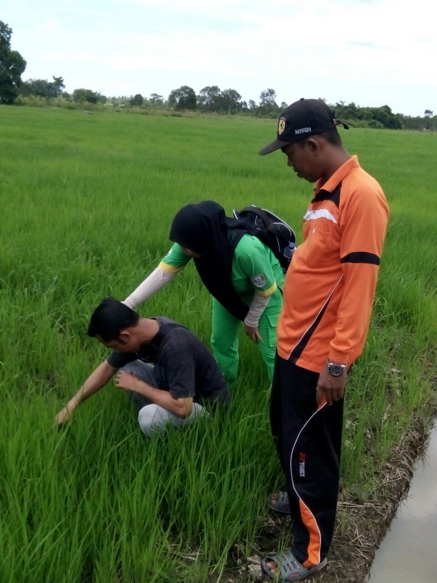 FsSumsel's tweet photo. Pengamatan keliling opt 
@fsthlpoptnasional
#SahkanRevisiUUASN https://t.co/YfkuRCxd6R
