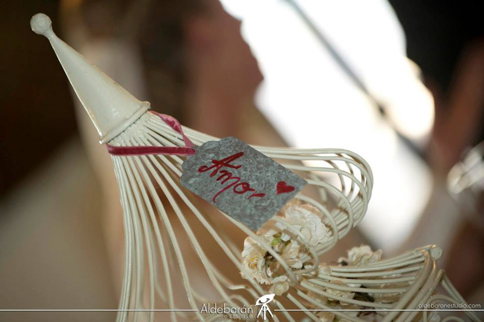 AldebaranFoto's tweet photo. Pequeños detalles que hacen que tu enlace sea grande. #AldebaránEstudio https://t.co/y0ztEYf0ah