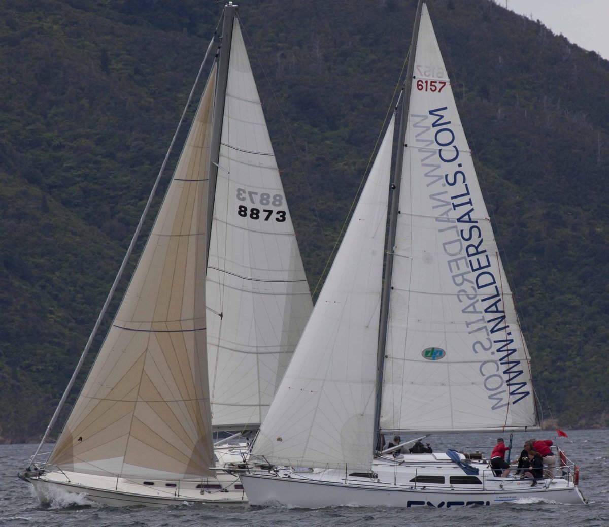 WaikawaBoating's tweet image. NZ King Salmon Summer Twilight 2017 Series Race 9
Congratulations to our winners and participants, thanks to our sponsors @NZ_KingSalmon