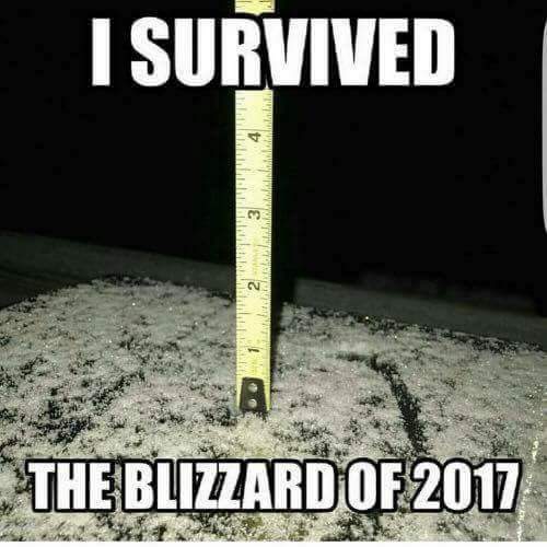 ucwilly's tweet photo. #NotMySnowStorm https://t.co/lIcq83FkmH