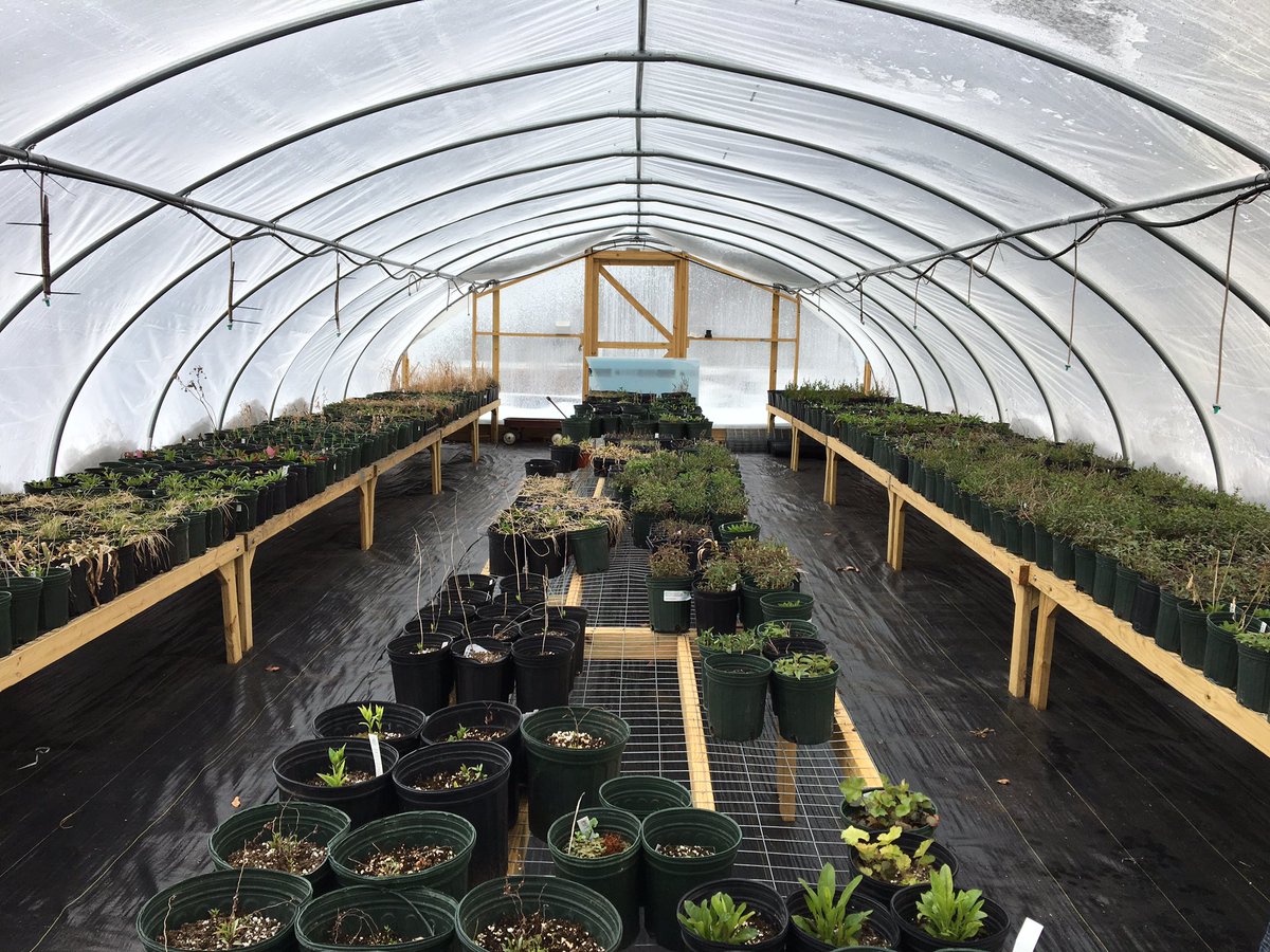 GoodHostPlants's tweet photo. Cold on the outside, spring on the inside. #hoophouses #thinkspring https://t.co/xFw7F0Bg3v
