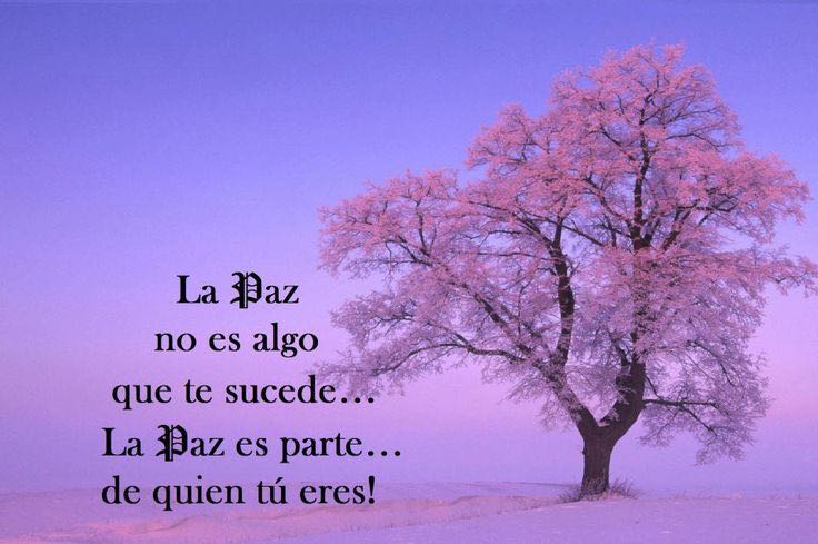 JLavalleMaury's tweet image. No se necesita de un té para estar en paz