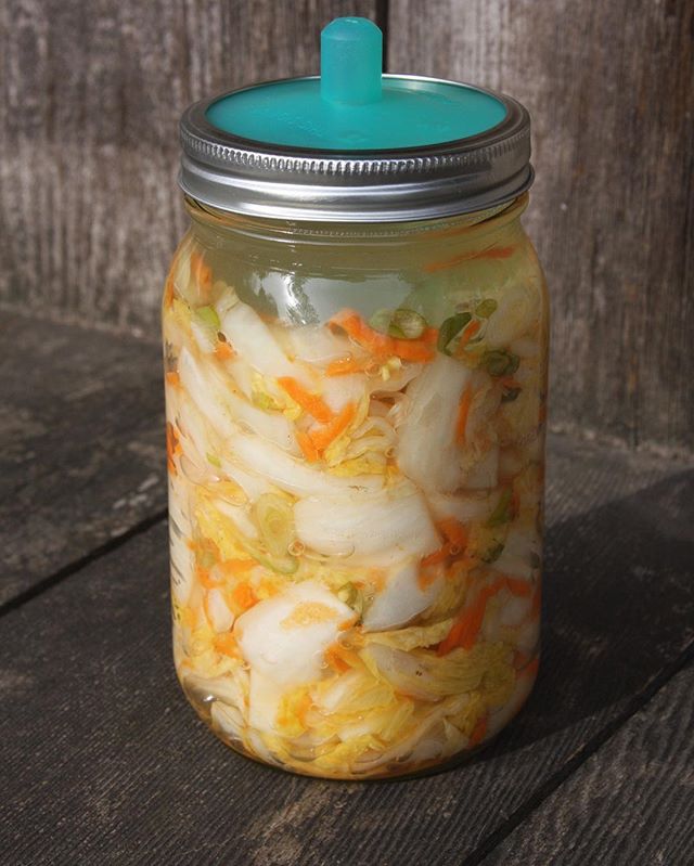masontops's tweet photo. π White Kimchi π #PicklePipe Recipe on Pg. 28 of the Masontops Fermenting Guide & Recipe Book online. https://t.co/7hz5m3zI4f