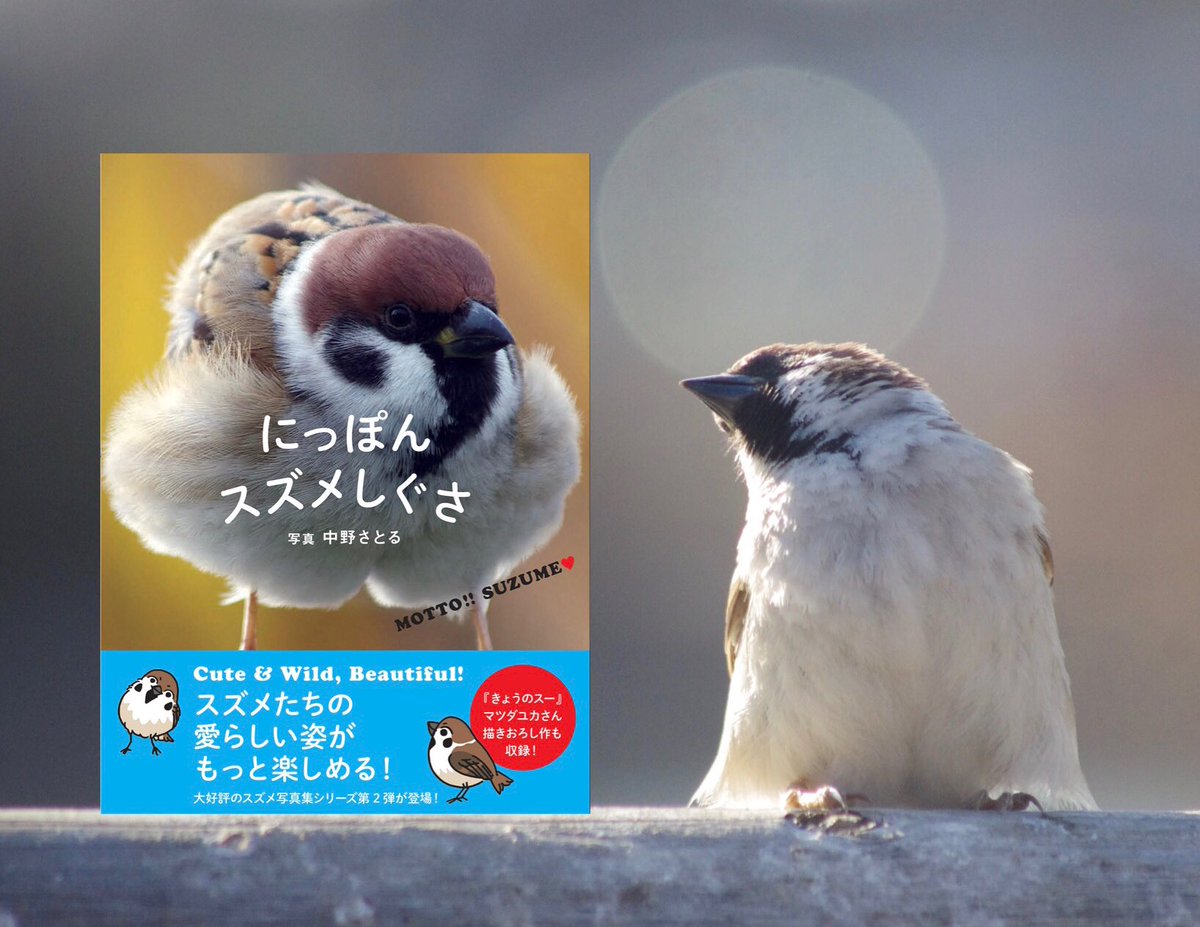 にっぽんスズメしぐさ」カンゼン 本日発売です！すでにご予約いただい