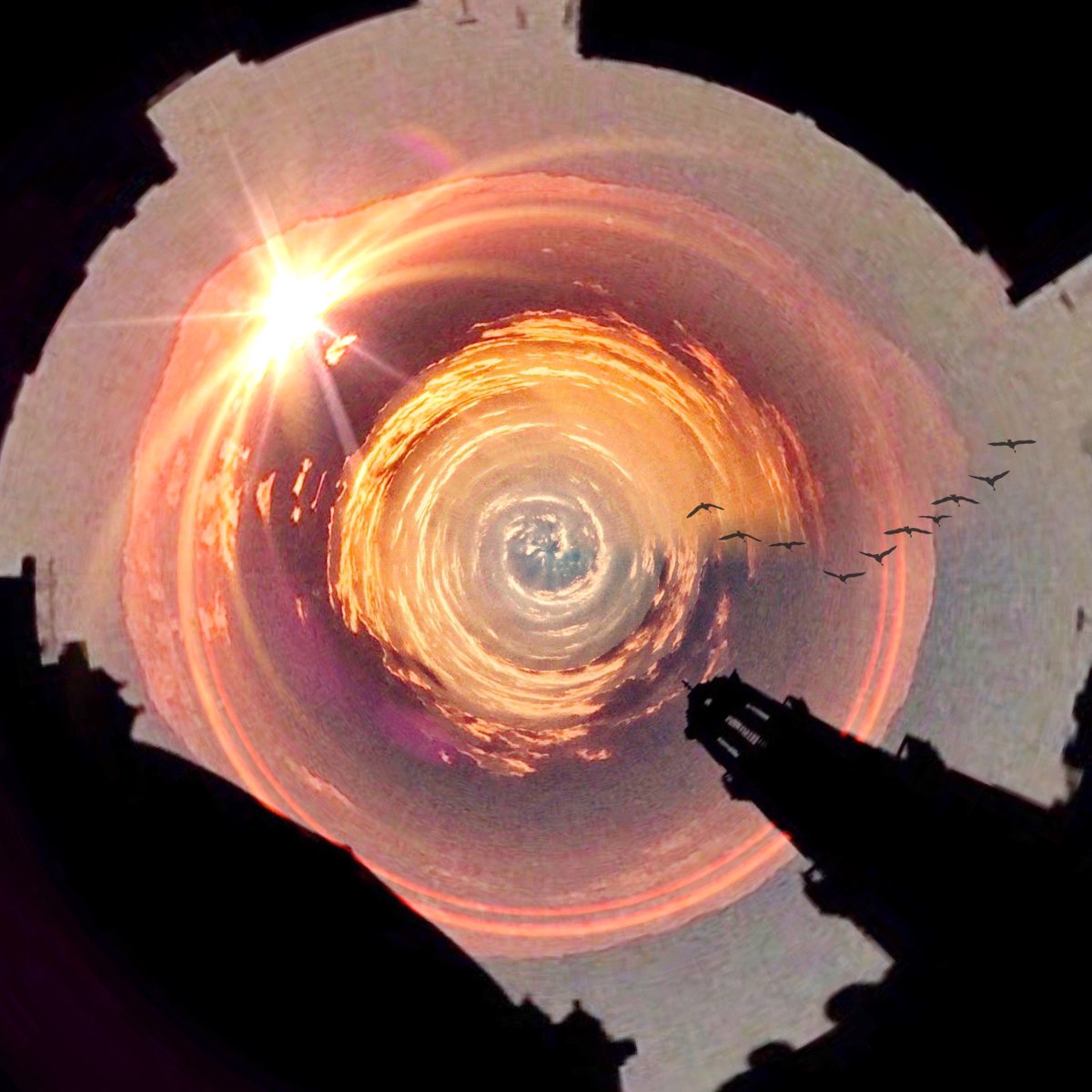 mobilenolimits's tweet image. Sunrise @TheCircularApp