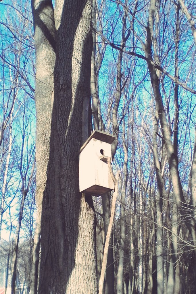 krivoluchie's tweet image. Доброе утро!! Отличного дня. Среда пришла - неделя прошла #ДомНаДереве #ЧикЧирик♪♪♪