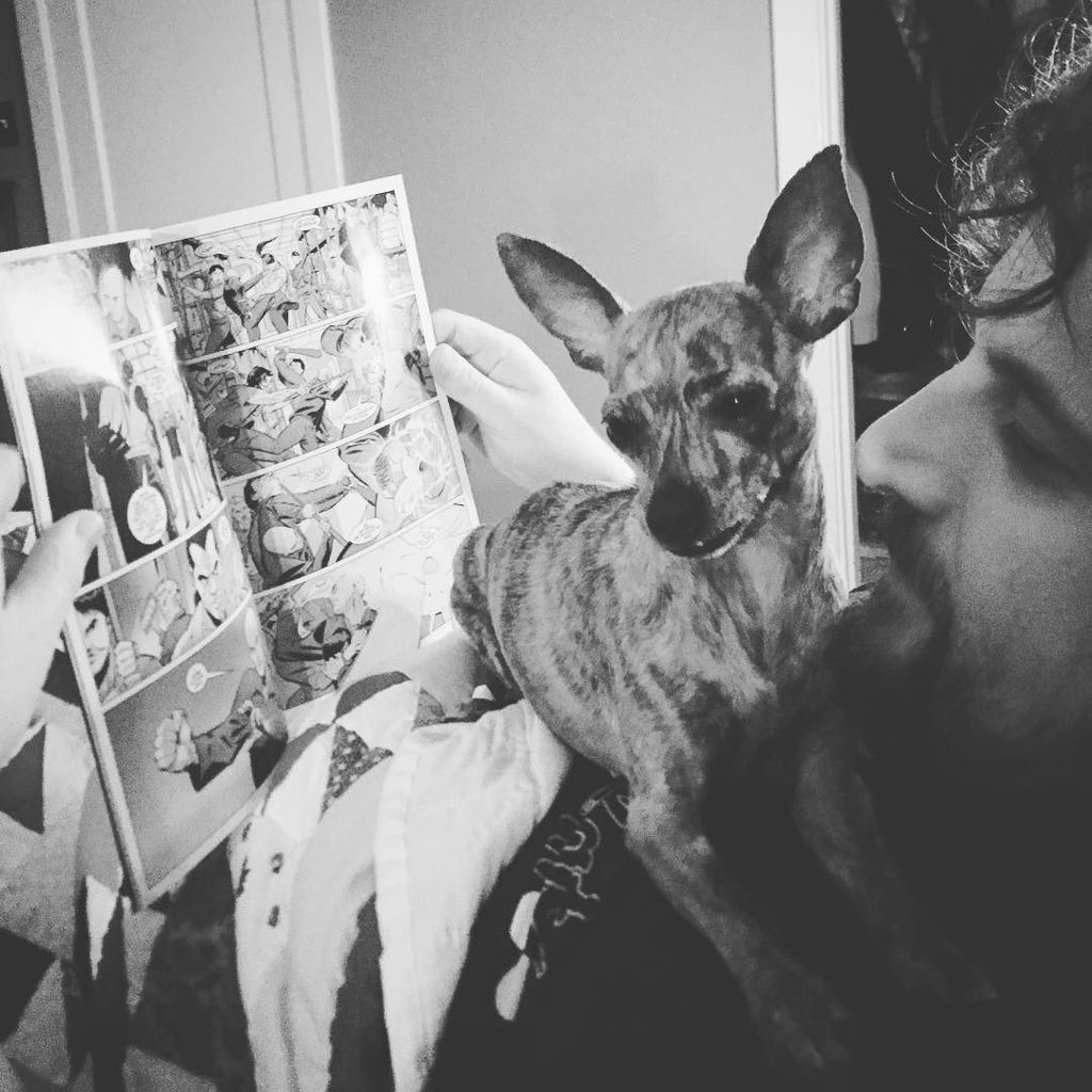 Gambi vs CJ's late night work research.