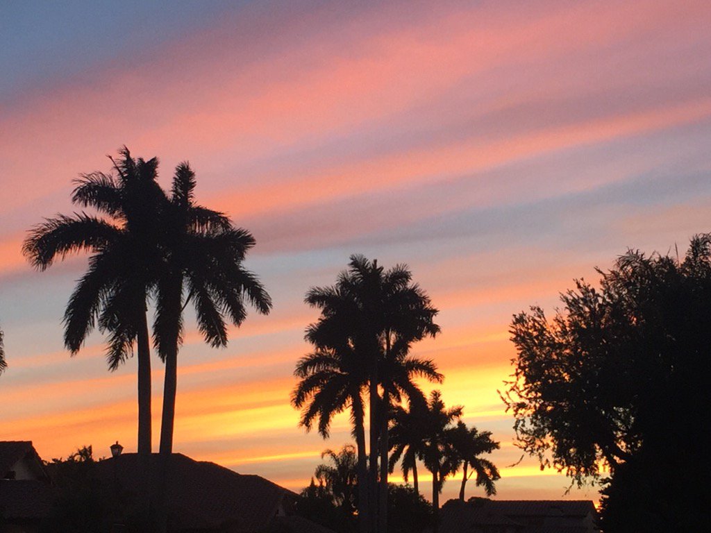 Amy Carpentieri tweet media