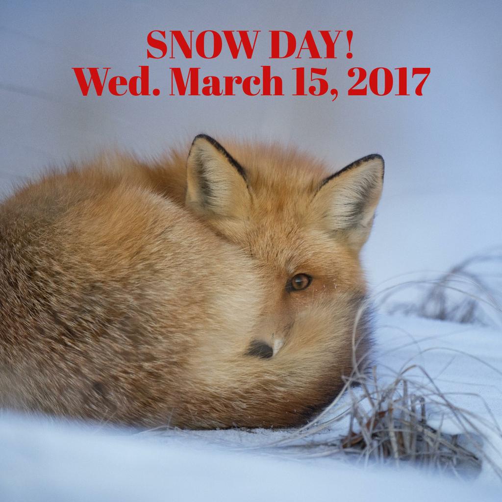 ccsdschools's tweet photo. CCSD Closed Tomorrow, March 15, 2017 -Details at https://t.co/WdKJZ6df2e https://t.co/iMZdDH5vuf