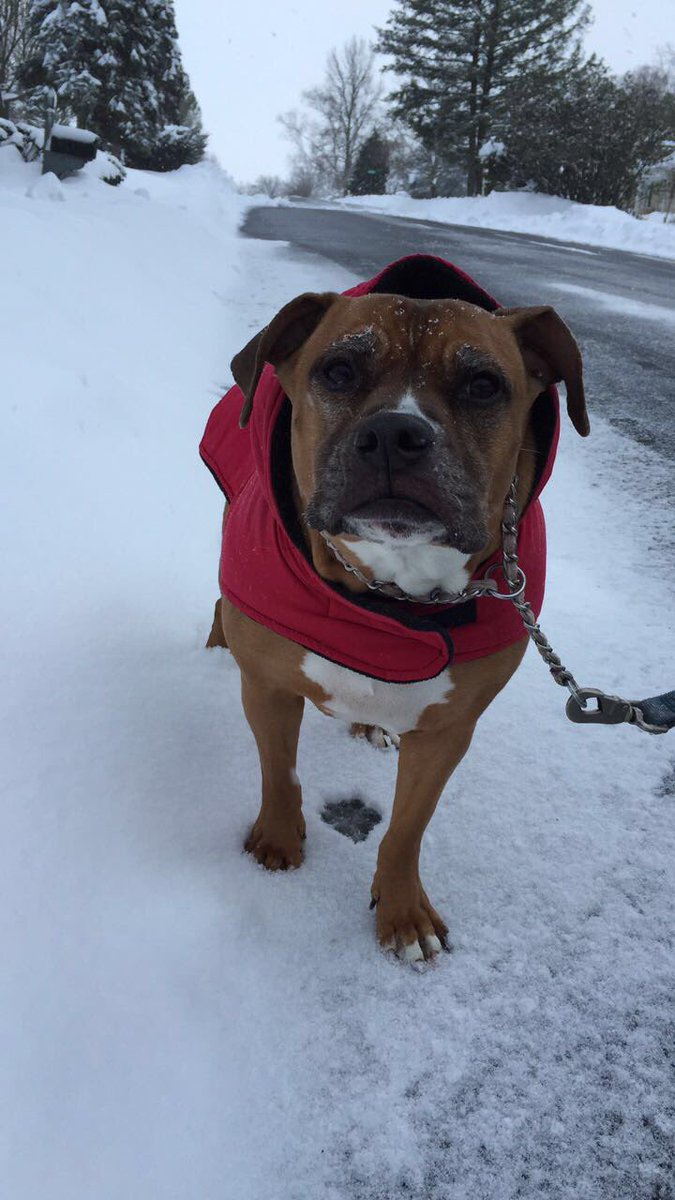 CassidyStumpf's tweet photo. The weather is confused https://t.co/df1EldeiTz