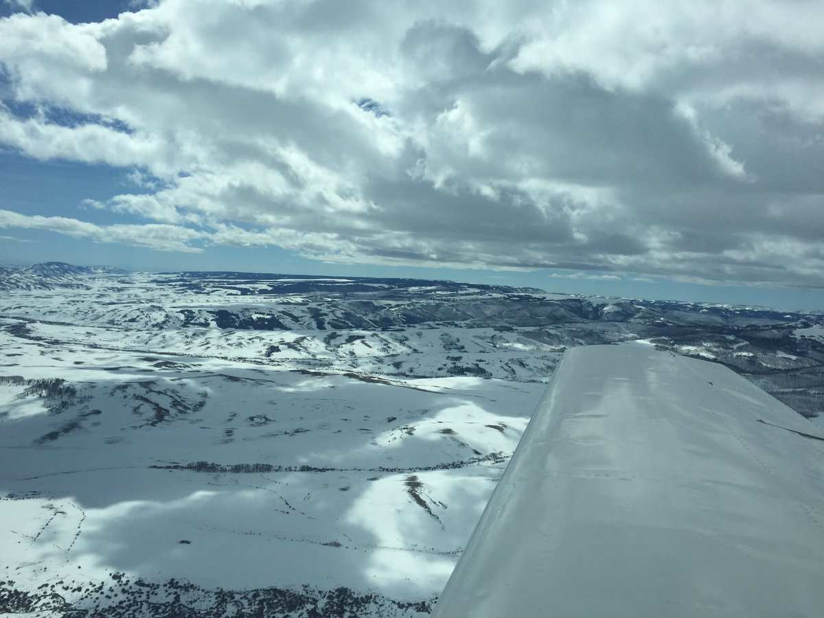 Dallas Smith tweet media