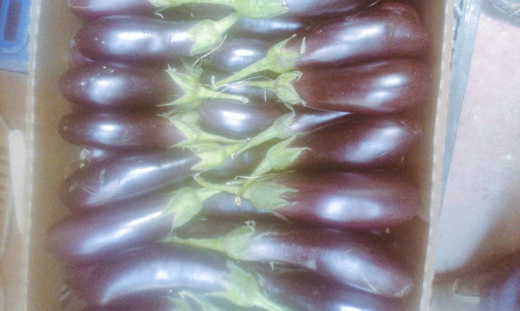 markgrown's tweet image. Very fresh