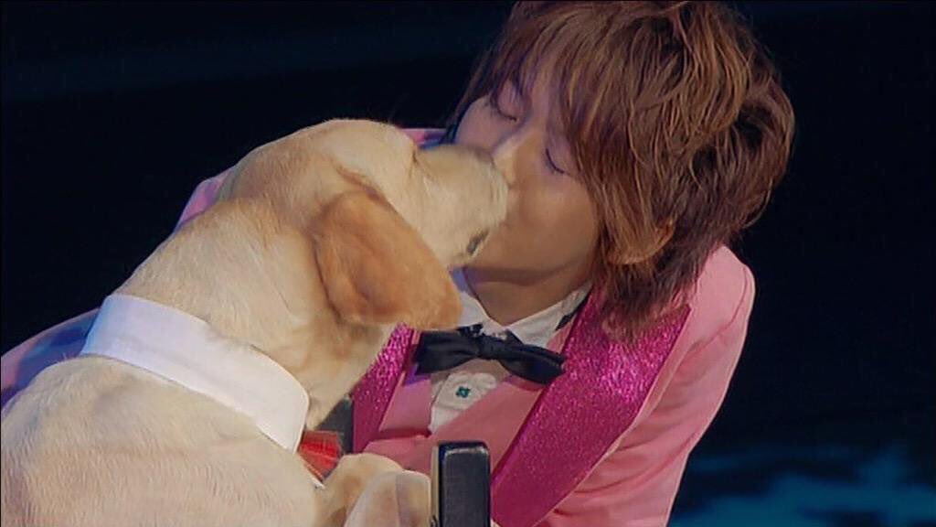 i_adyiak's tweet photo. 有岡ちゅー😗💞 https://t.co/ylhkNGgaiU